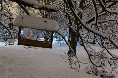 Smuk sne kan koste dyrt i haven