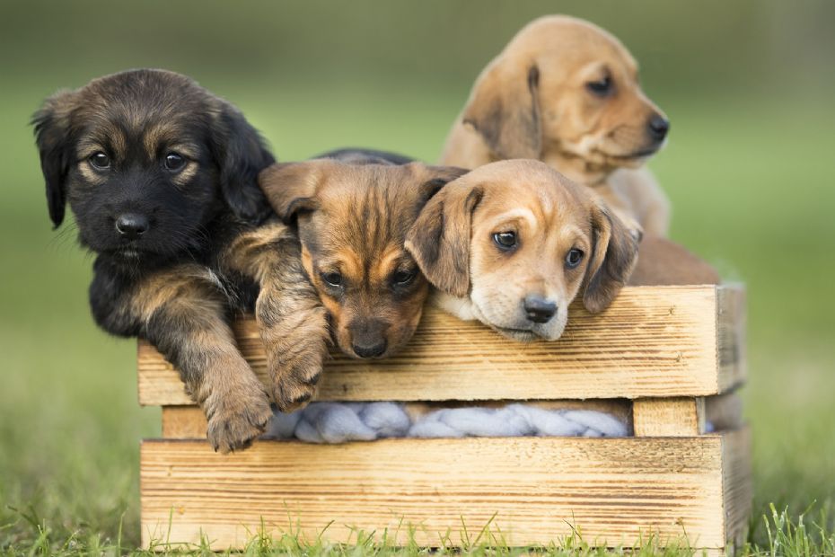 Don�r en del af arven til velg�rende organisationer