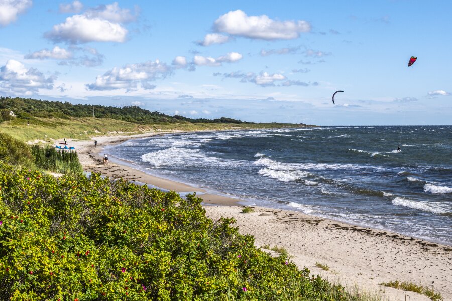 Myndigheder: S�kabel p�virker havmilj�et minimalt