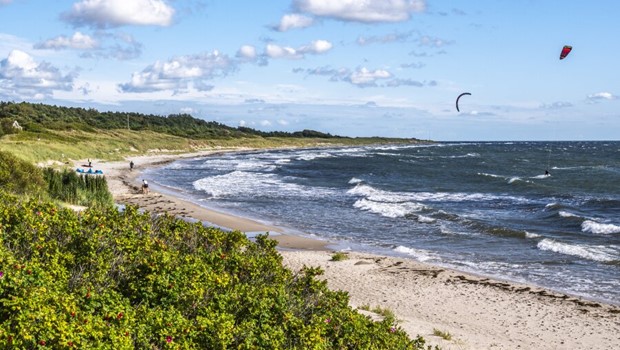 Fredag 2-1-26 - 08:08 Myndigheder: S�kabel p�virker havmilj�et minimalt