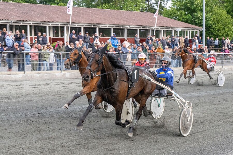 Bygmas 5-�rs mesterskab k�res 16. juni