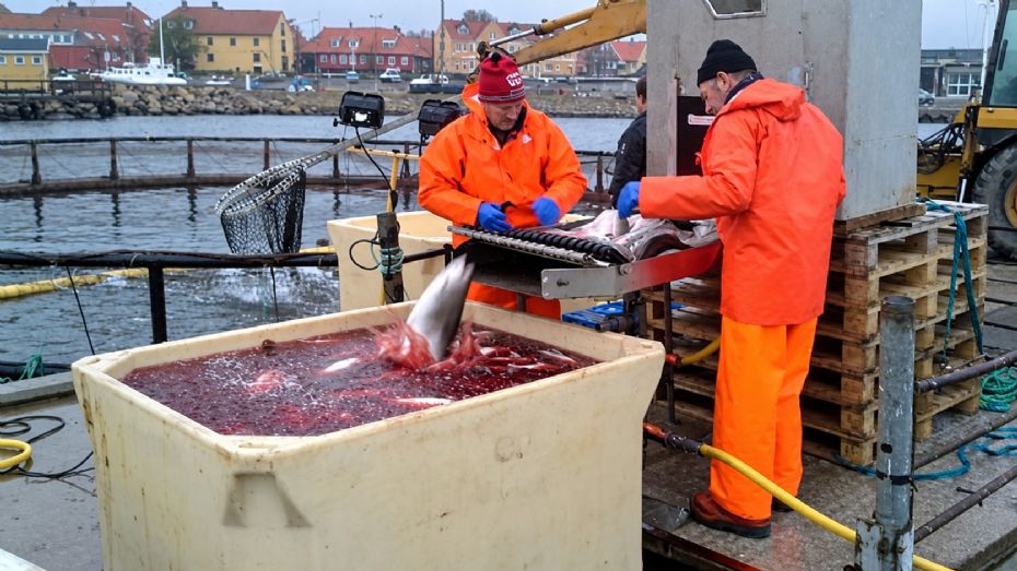 Havbrug ved Nex� venter stadig p� milj�godkendelse