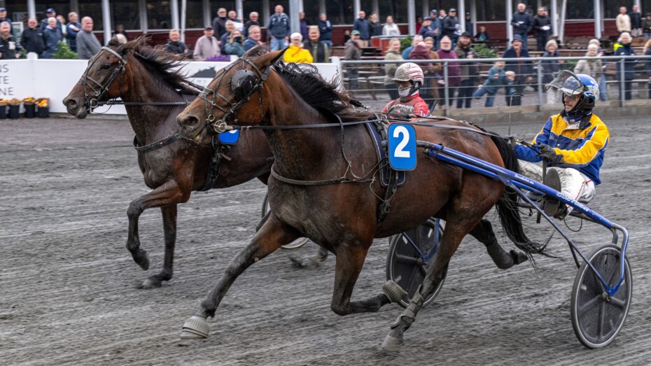 Sally Popp er eksperternes fidus