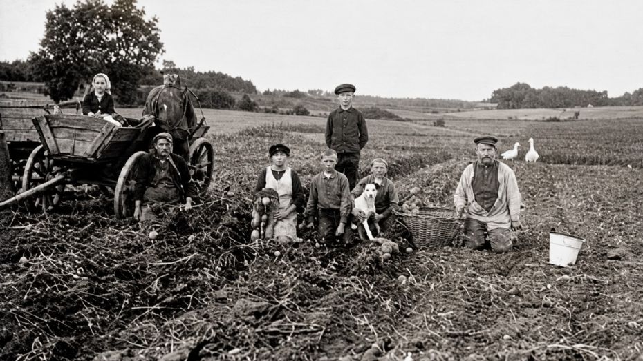 1. november var flyttedag for landbrugets tjenestefolk