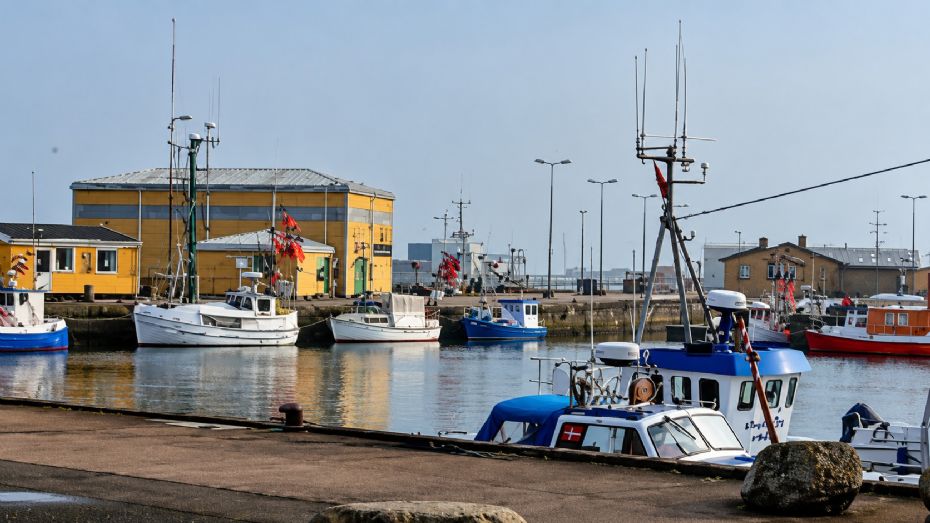Kommunen vil have nyt liv p� Nex� Havn