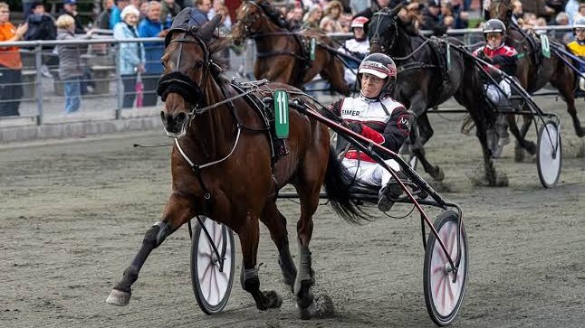 Eksperterne kan ikke finde sikre vindere