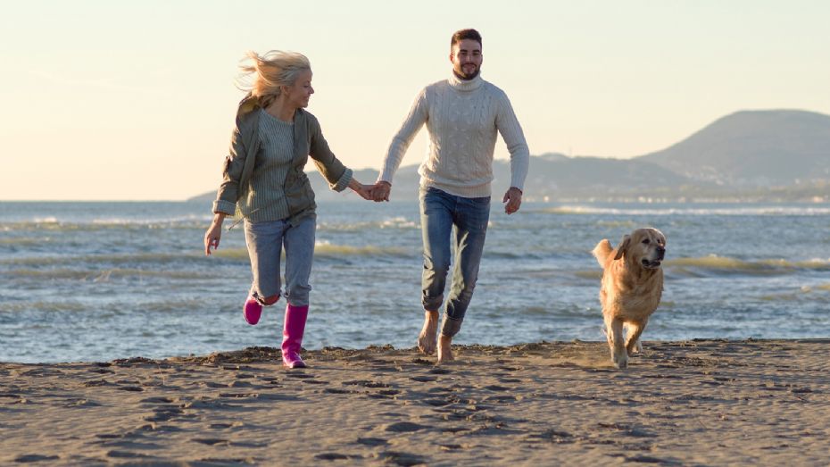 Nu m� hunden l�be l�s p� stranden