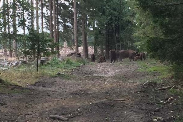 Naturnationalparker splitter � men hvad er alternativet?