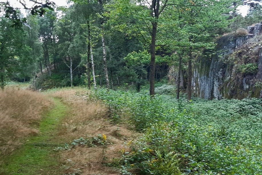 BRK: Fredning f�r �konomisk betydning