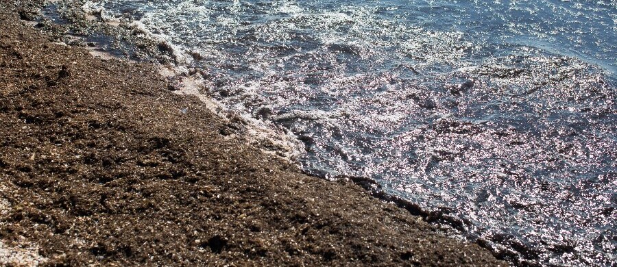 Russisk skyggefl�de kan udl�se en oliekatastrofe