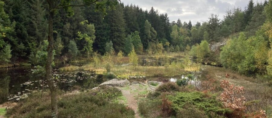 Lodsejere f�r kompensation i Gr�n Trepart