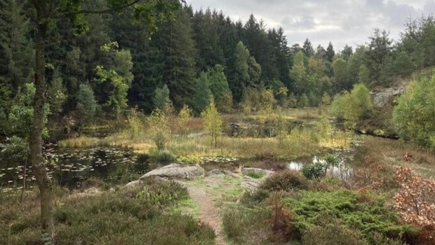 Tirsdag 17-2-26 - 15:01 Lodsejere skal have kompensation i Gr�n Trepart