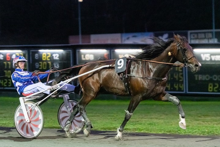 God s�son for Niclas Steinlein