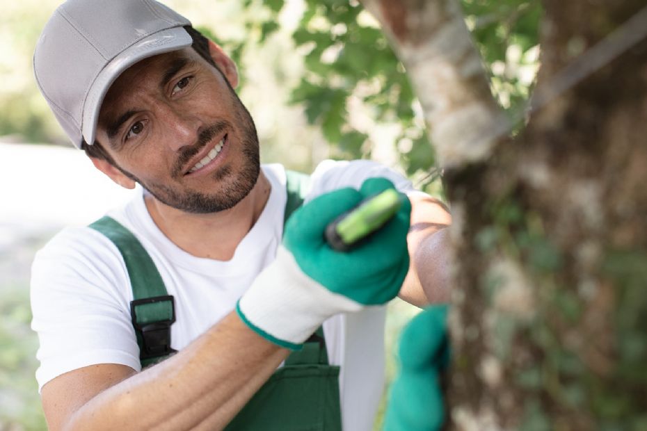 F� mere familietid - med hj�lp fra servicefradraget