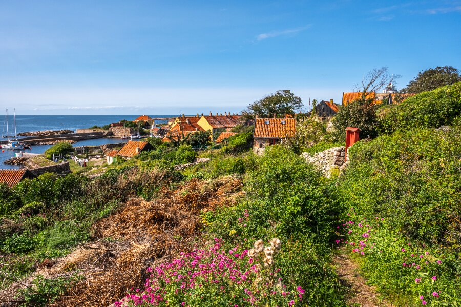 Ertholmene reservat for nordiske honningbier