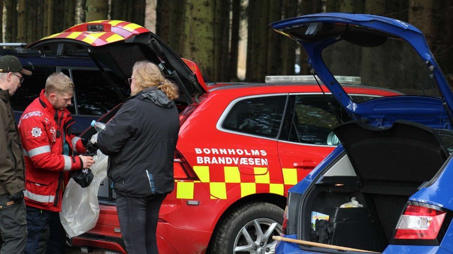 D�de fisk fundet i overfladen p� s� ved R�