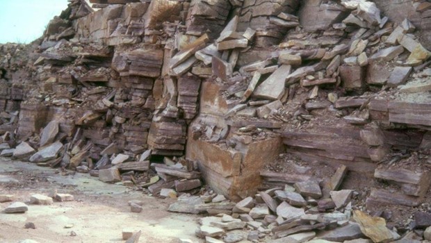 Torsdag 26-3-26 - 07:34 Nex�-sandsten kan slippe op: Udvidelse p� vej