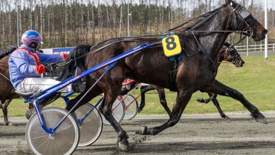 Kop & Kande sponsor for Golden League