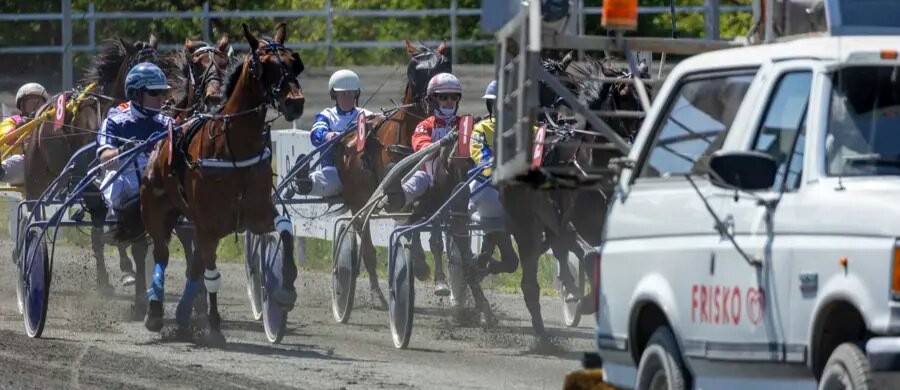 Travsporten st�r ved en skillevej