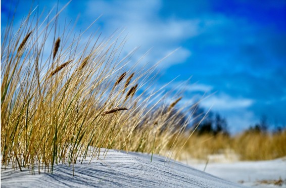 Bornholm er ikke kun en sommer�