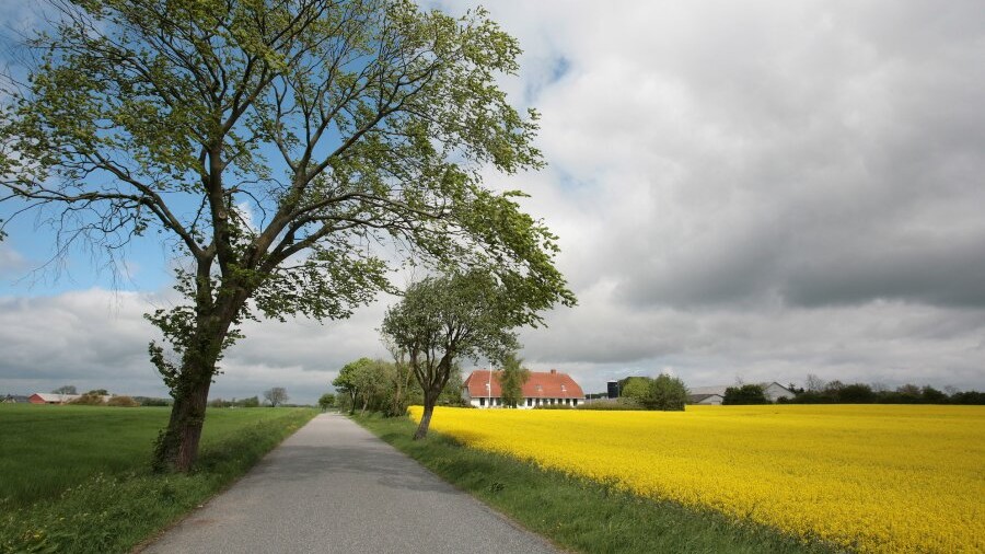 Markant fremgang hos stort landbrug i Rutsker