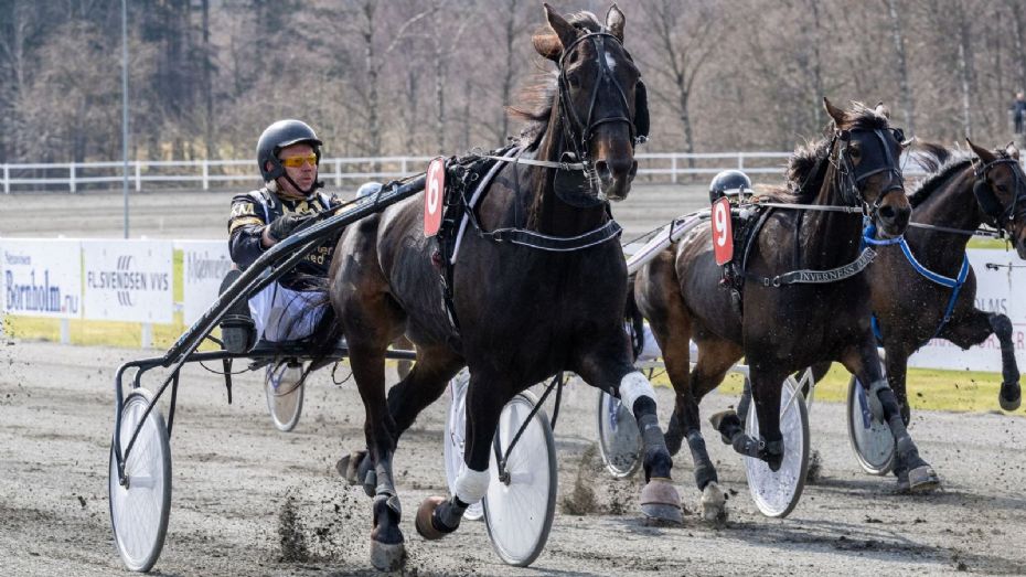 Eksperter uenige om s�ndagens favoritter