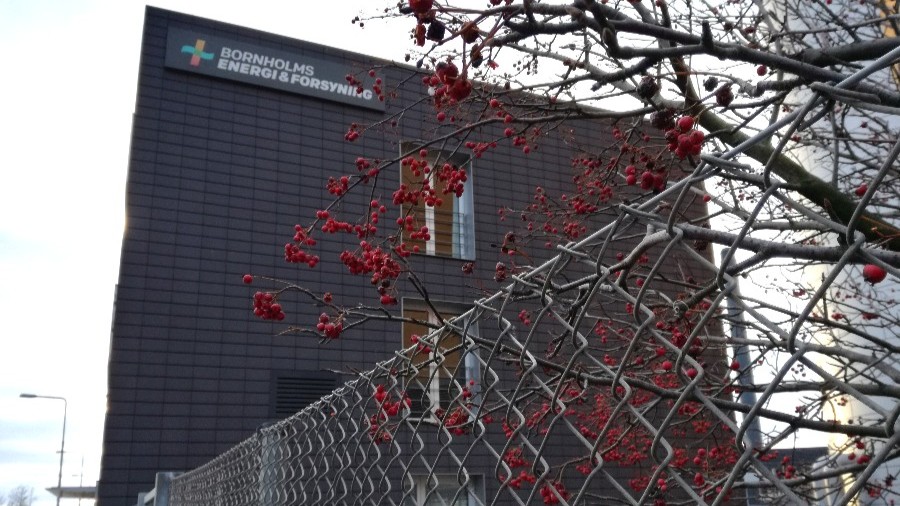 BEOF med markant lavere overskud