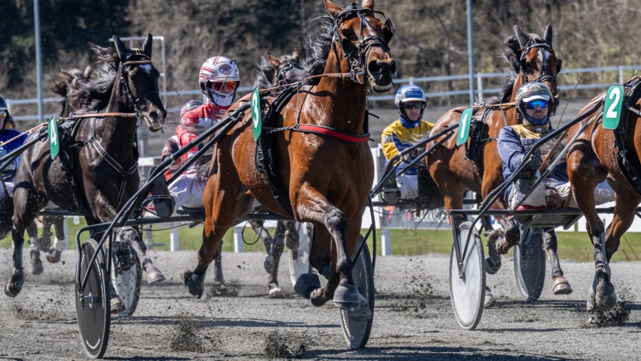 Eksperter t�r ikke udpege vinder af mindel�b