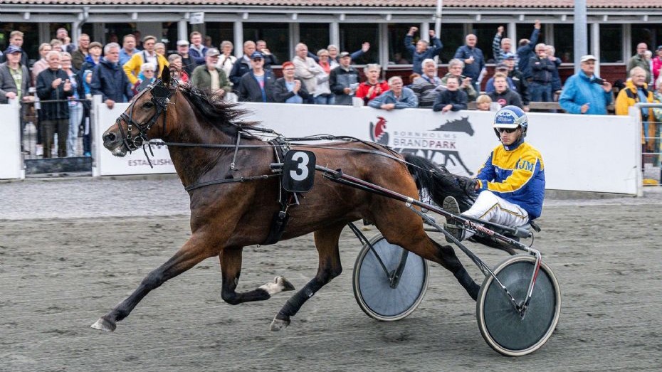 Favoritter og fælder før løbsdag