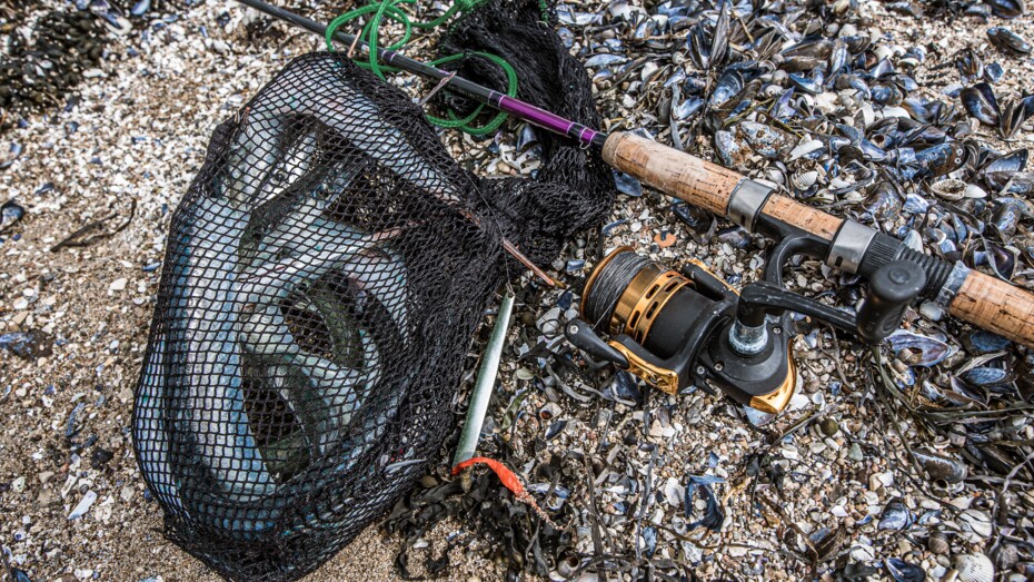 Sol, strand og hornfisk ved Bornholm