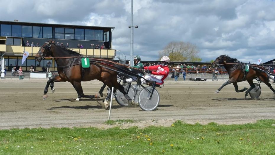 Bornholmsk hest blandt favoritterne i Charlottenlund