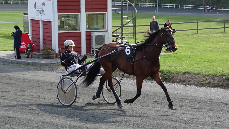 Ken Ecce frikendt efter anke i Hoppemesterskabet