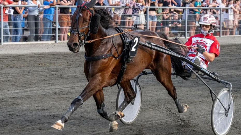 Dansk mester bag ny hurtigklassehest på Bornholm