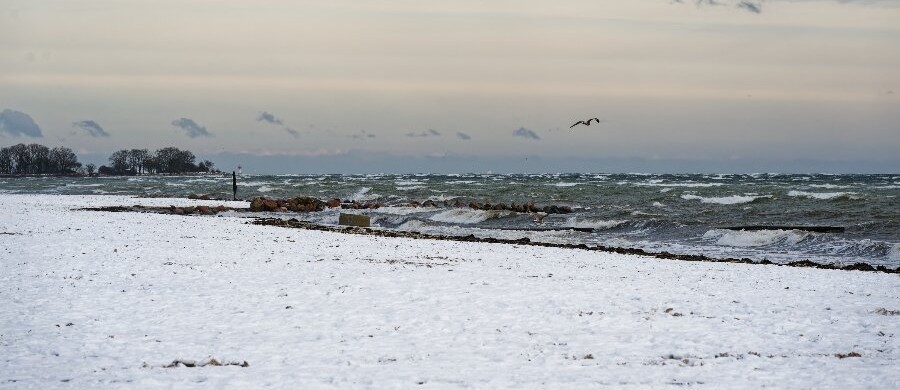 D�de zoner breder sig i �sters�en ved Bornholm