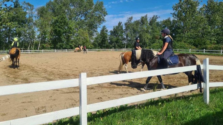 Rideklub fik st�tte til bane for pararyttere