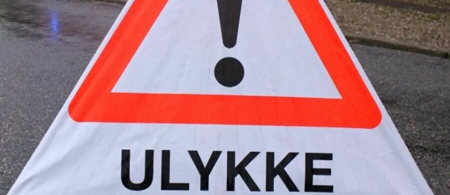 Bil endte i tr� efter m�de med hjort