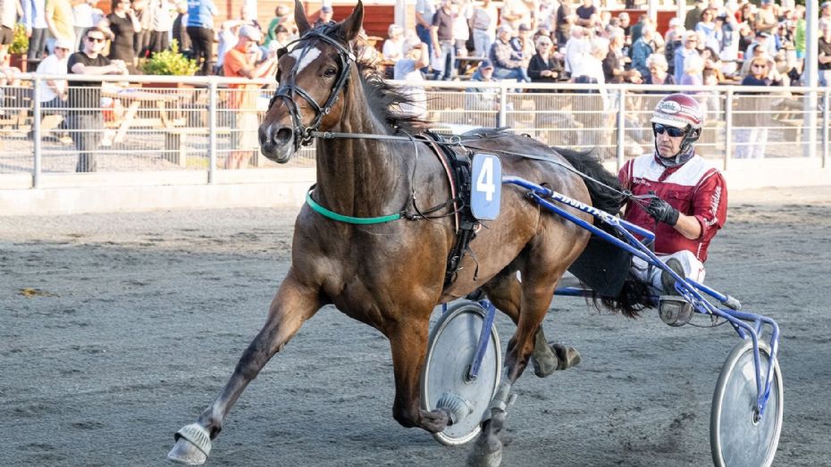 Eksperterne finder fem blankbud i tirsdagens travl�b