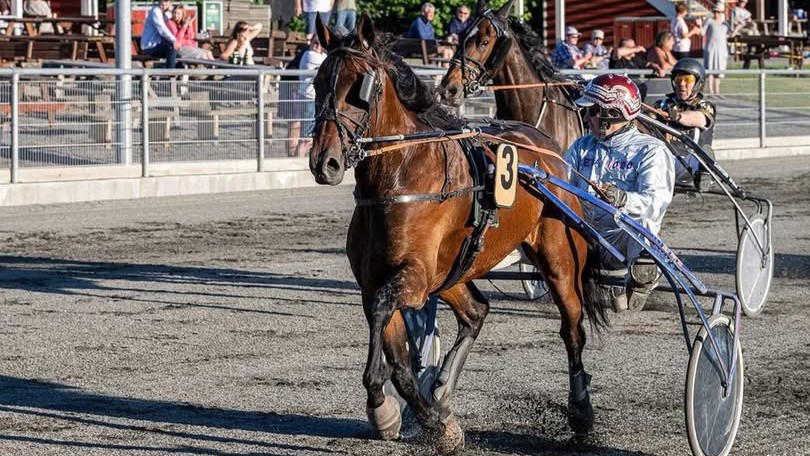 Bornholmerhesten i l�b i Karlshamn
