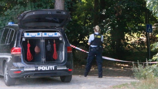 Politihund sikrede spor efter skovbrand ved Dueodde