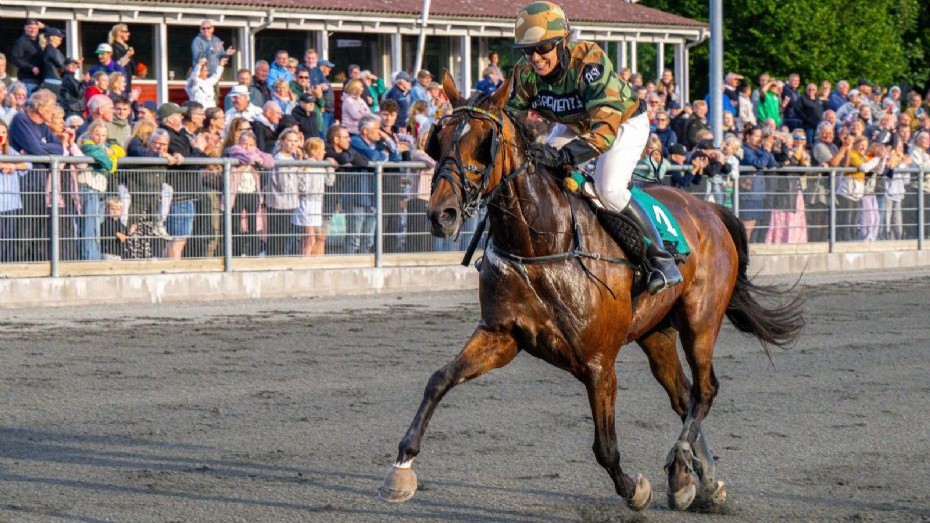 Bonny Boy forsvarer titlen i Bornholms Mont�mesterskab