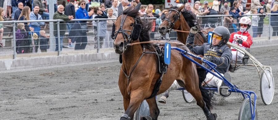 Flere entr�kroner p� travbanen