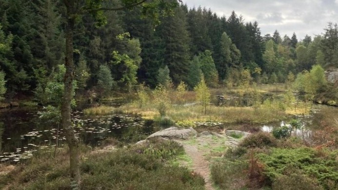 Naturprojekt har tidshorisont frem til 2045