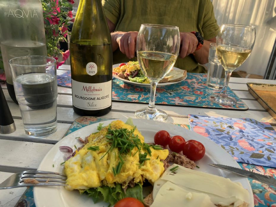 Hvide sommervine