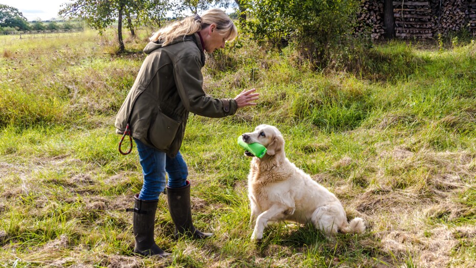 Hund og ejer l�rer sammen