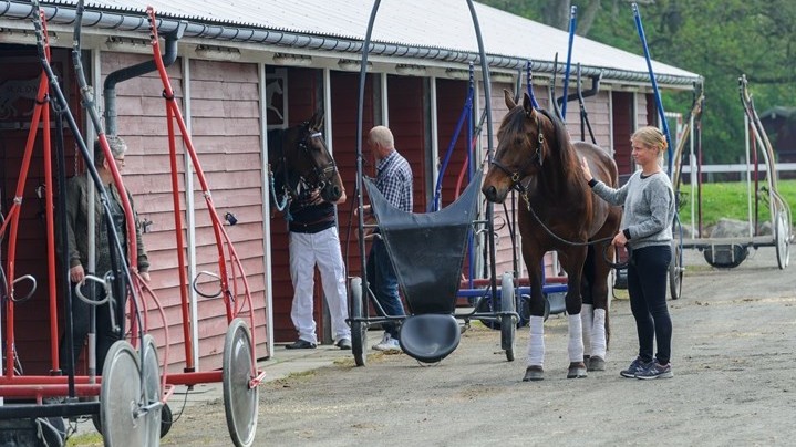 Eksperterne uenige om Derby-favoritten
