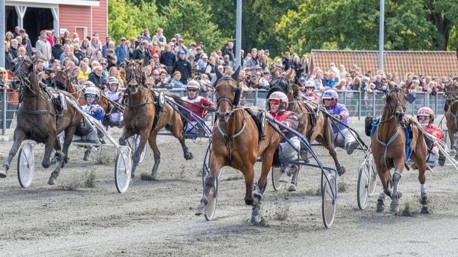 Kun �t udtagelsesl�b til Bornholmsmesterskabet