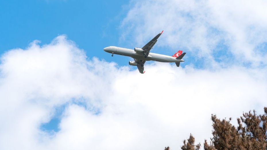 S�dan finder I den rette destination til studieturen