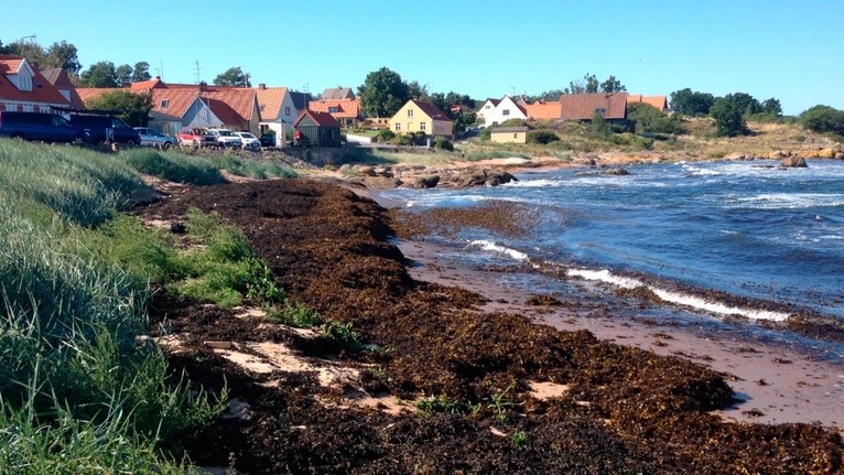 BRK sk�rer kraftigt ned p� tangindsamling