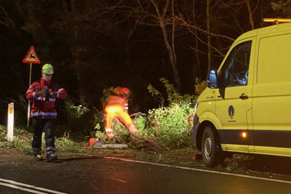 Blæsevejr væltede træer flere steder på Bornholm