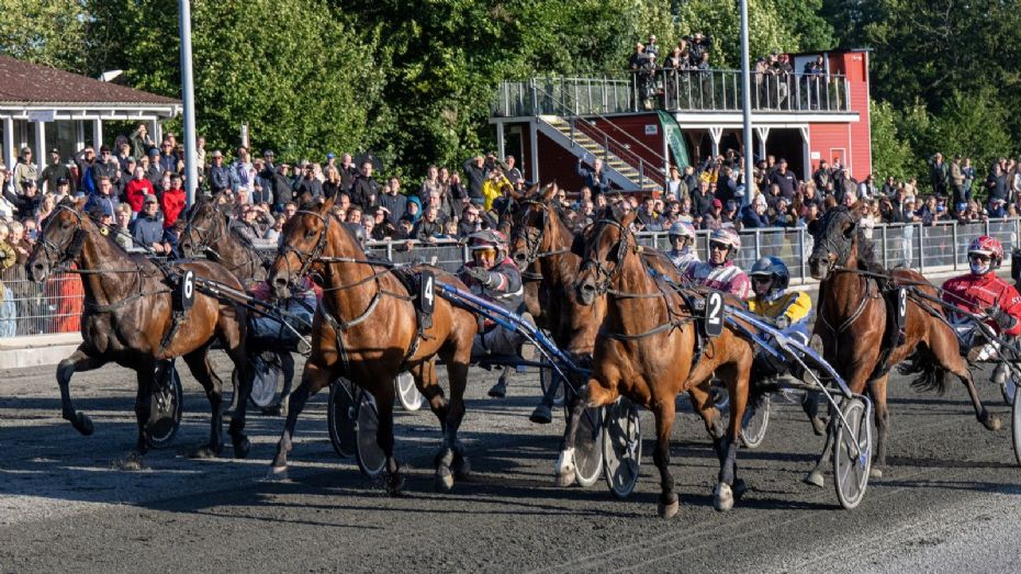 Diamondwind er bornholmsk sprintermester